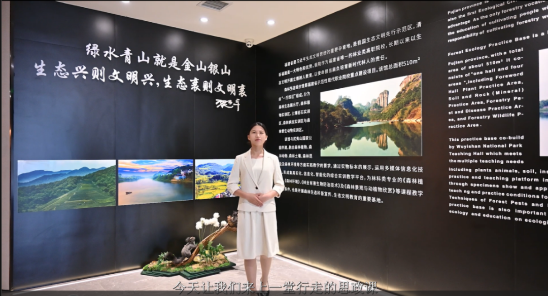 平特三中三网站 平特三中三网站